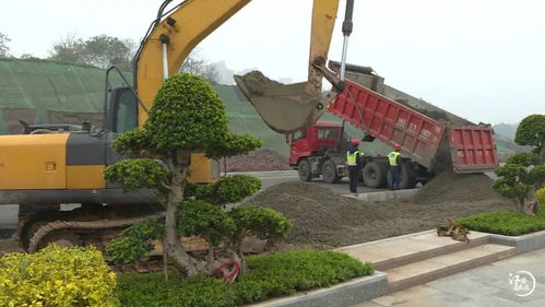 小壩市政工程迎賓大道一期主干道正式通車