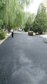 市政工程管理處 集中養(yǎng)護(hù)，筑牢城市運(yùn)行基石